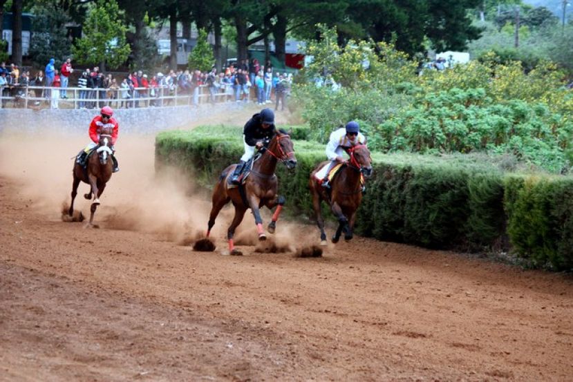 Valleseco: Grandes carreras de caballos en la Fiesta de San Vicente Ferrer