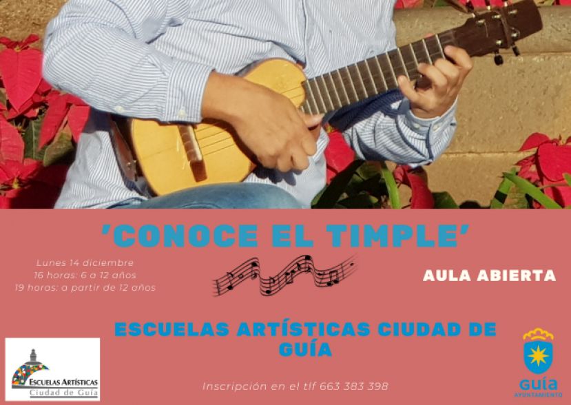 Guía: Aula abierta ‘Conoce el Timple’ en las Escuelas Artísticas el próximo lunes