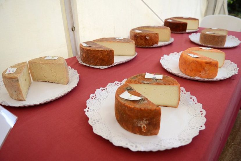El queso Hoya del Cavadero de Moya, Mejor Curado de Gran Canaria 2017