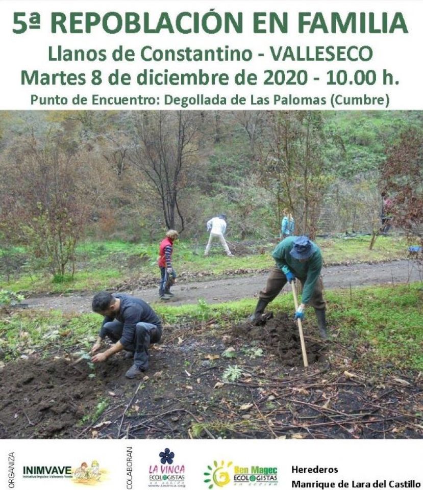 Valleseco acoge una repoblación forestal en los Llanos de Constantino