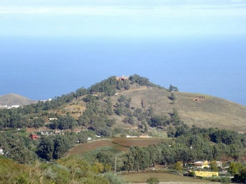 Las 50 personas contratadas por el proyecto Emplea Verde Gran Canaria del Cabildo y Foresta recuperar&aacute;n la Monta&ntilde;a de Firgas