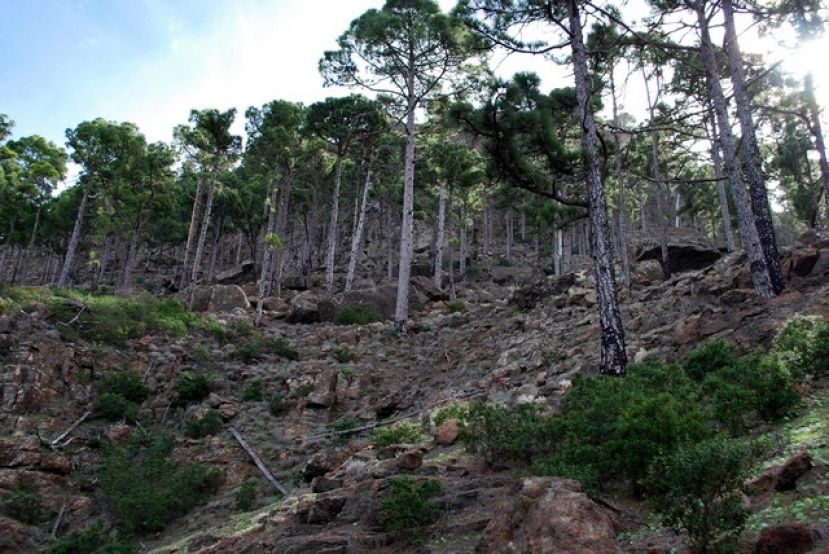 Valleseco te organiza una caminata por los encantos de Inagua