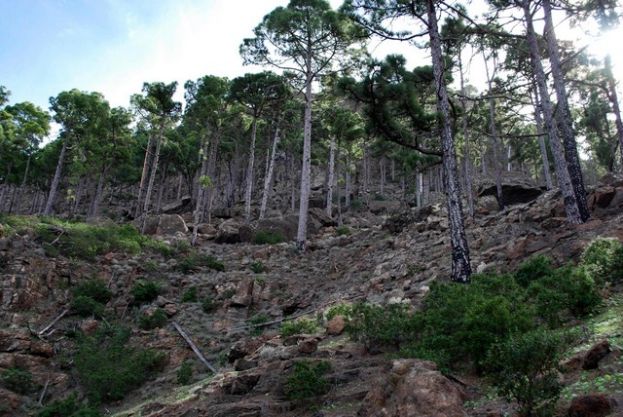 Valleseco te organiza una caminata por los encantos de Inagua