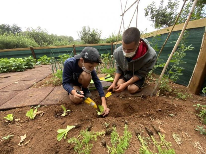 La poblaci&oacute;n joven de Valleseco juega a preservar el sector primario