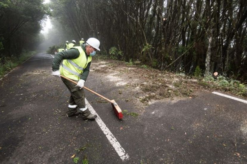 La Gomera: Trabajos de retirada de material combustible en los márgenes de la GM-2