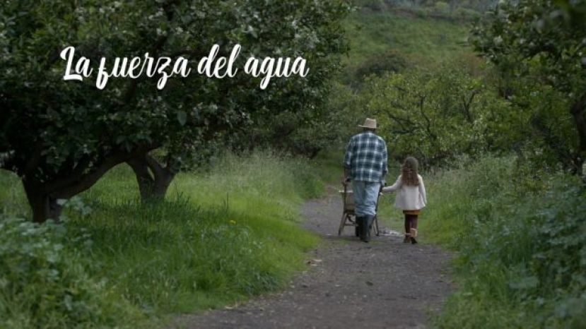 El Gobierno de Canarias pone en valor ‘La fuerza del agua’ para conmemorar el día mundial de este recurso natural