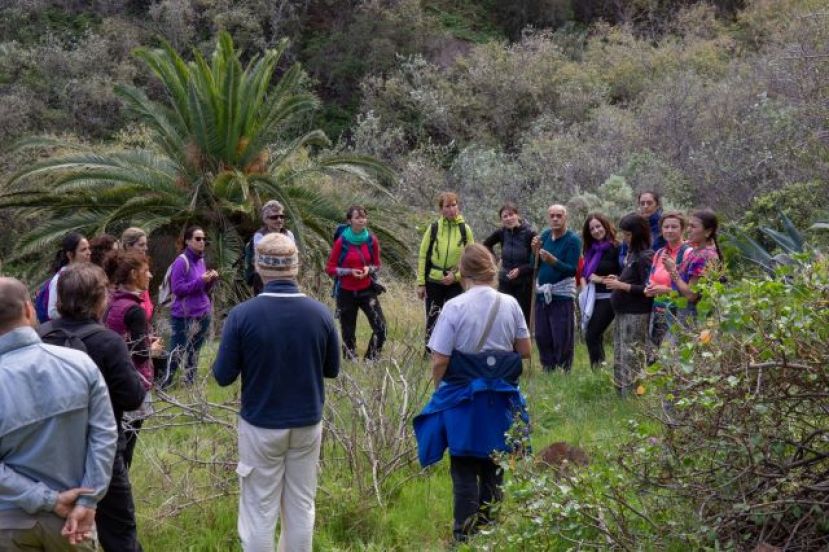La Gomera ofrece rutas tematizadas y charlas formativas para el sector turístico
