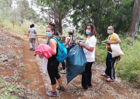 Exitosa acción de control y eliminación de plantas invasoras en la Montaña de Firgas