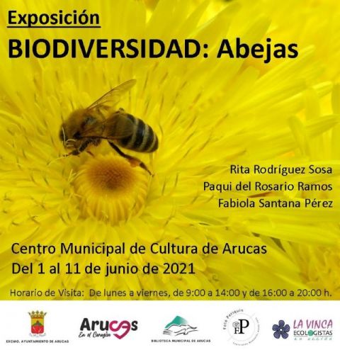 El martes 1 de junio se abre en Arucas la Exposición “Biodiversidad: Abejas”