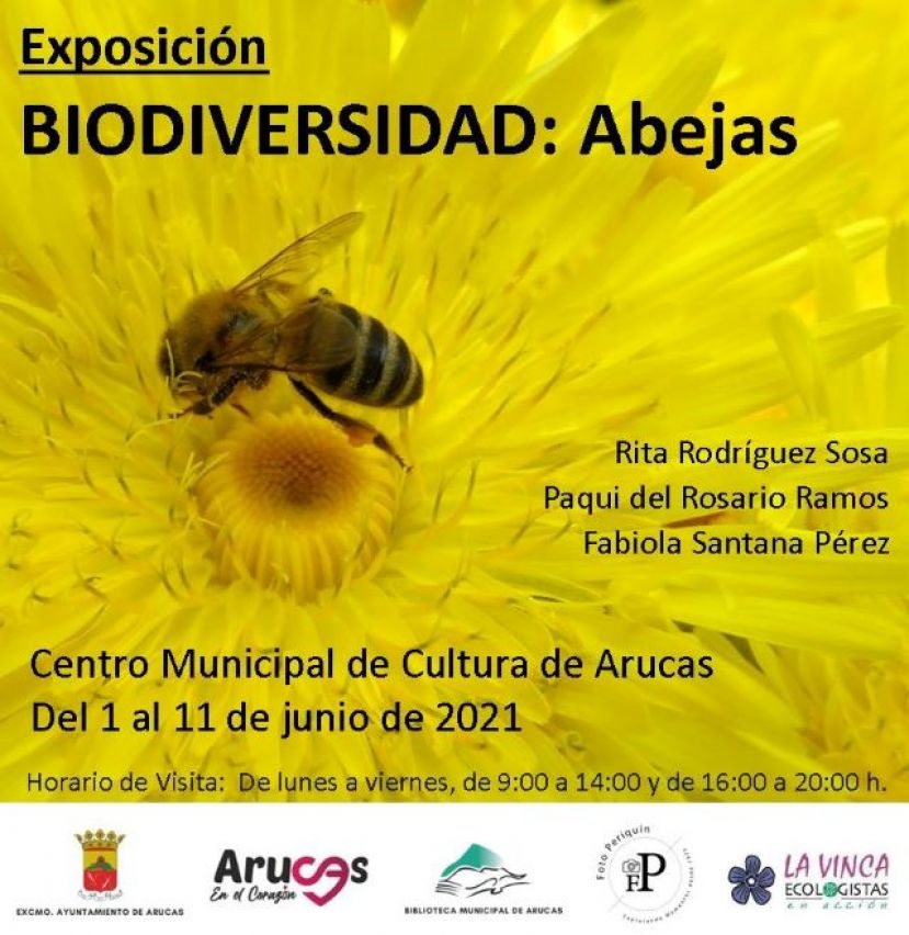 El martes 1 de junio se abre en Arucas la Exposición “Biodiversidad: Abejas”