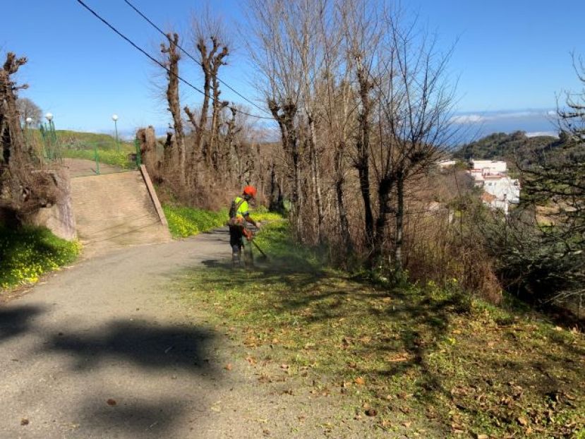 Valleseco ha comenzado a ejecutar labores de limpieza del margen de la v&iacute;a El Prado