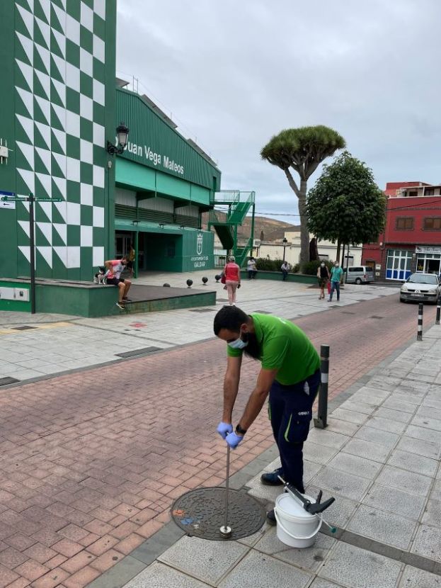 G&aacute;ldar lleva a cabo una campa&ntilde;a de control de plagas en todo el municipio