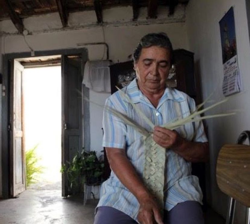 Las &uacute;ltimas estereras de La Gomera