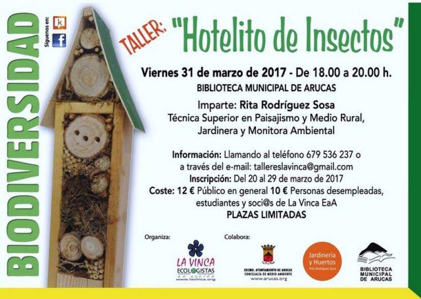 Arucas: Aprende a fabricar un divertido y &uacute;til &ldquo;Hotelito de insectos&rdquo;