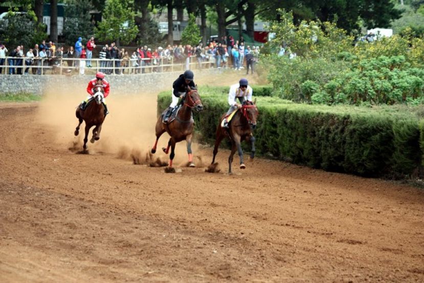 Domingo de carreras de caballos en Valleseco