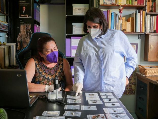 El Gobierno impulsa una investigación inédita sobre objetos históricos de Canarias