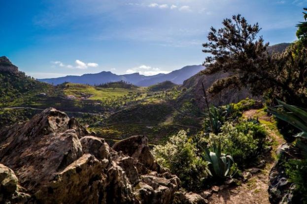 La Gomera se integra en el Corredor Biol&oacute;gico Mundial