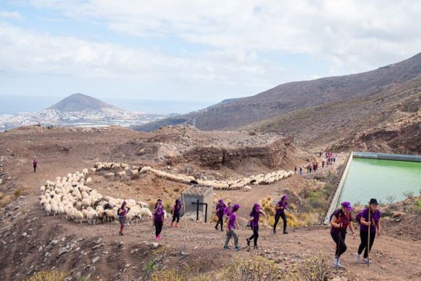 G&aacute;ldar acoge la primera trashumancia femenina