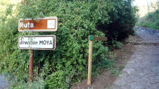 Primera de las cuatro visitas guiadas previstas al paraje natural de Los Tilos