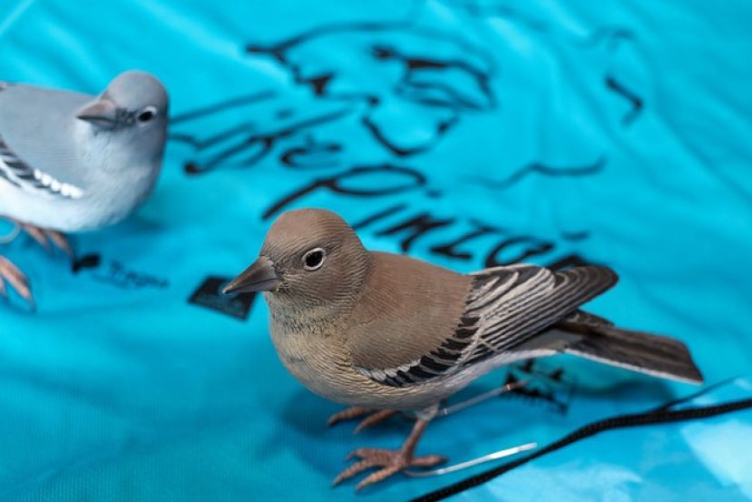 El Pinzón Azul se recupera y supera las cifras anteriores al incendio de 2007