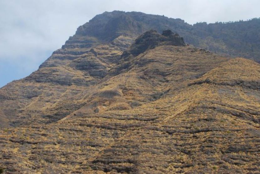 El voluntariado ambiental considera lamentable la expansi&oacute;n de rabo de gato