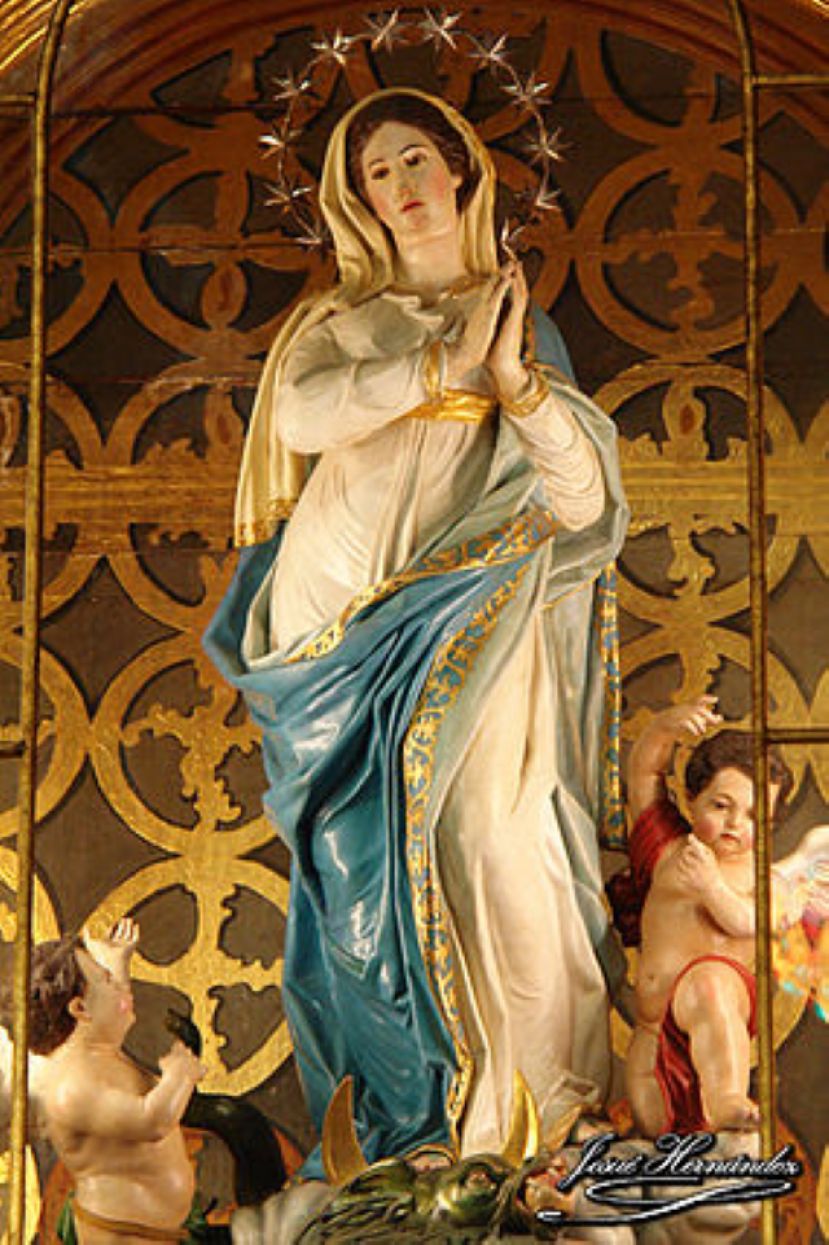 Hoy, día de La Inmaculada Concepción Patrona de España y de su Infantería