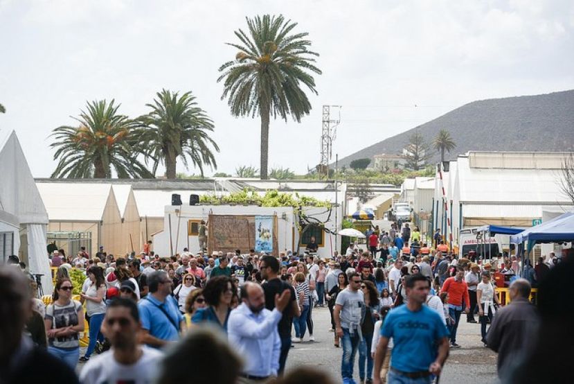 Miles de personas disfrutan de los m&aacute;s de 900 animales y de las tradiciones agropecuarias en la Feria de Ganado de Gran Canaria