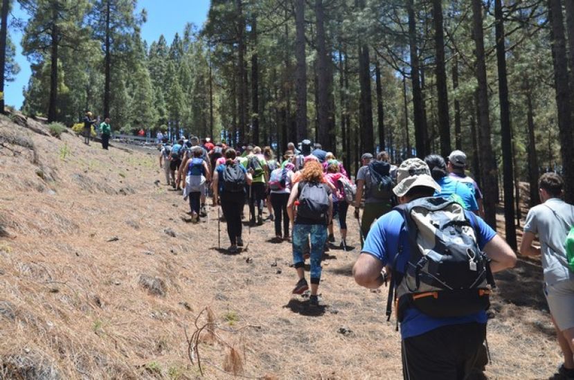 G&aacute;ldar: El Camino de los Valores llega este lunes a su recta final