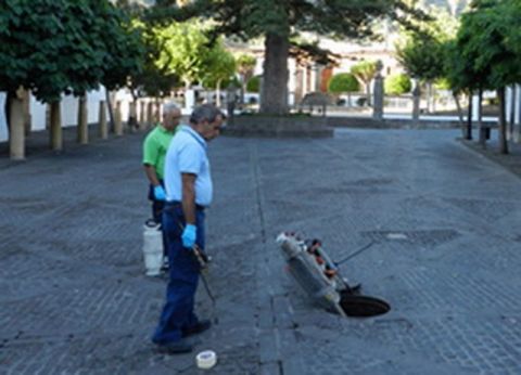 Teror: Tercera fase de la campa&ntilde;a anual de fumigaci&oacute;n en las alcantarillas