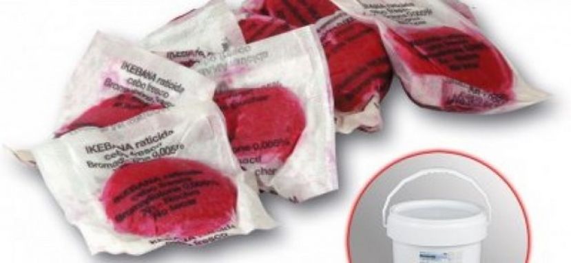 Gáldar: La concejalía de Sanidad informa de la campaña de raticidas