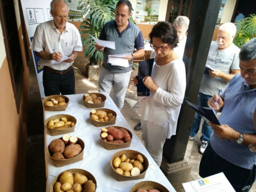 Cata de Papa elige la Valor para arrugar, la Manitou para sancochar y la HZ para fre&iacute;r