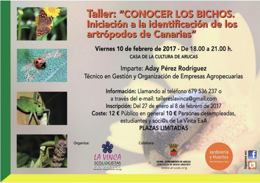 Arucas: Plazo de inscripci&oacute;n para el Taller &ldquo;CONOCER LOS BICHOS..." de la Vinca