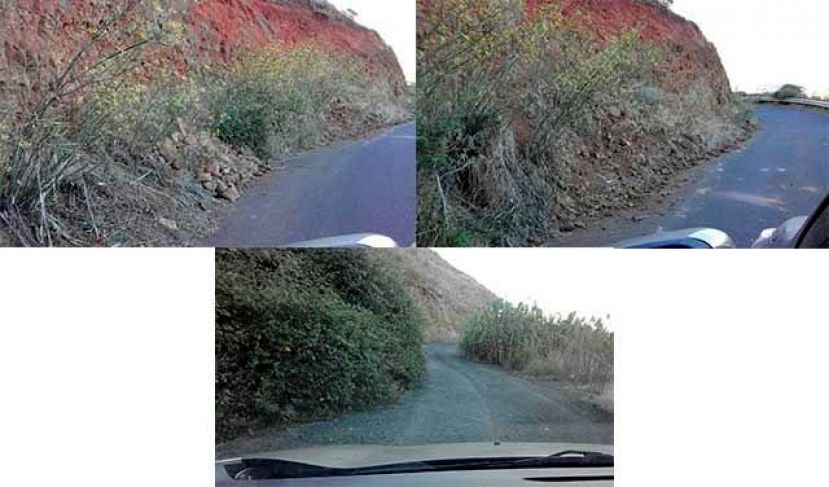 El PP insta al BNR-NC a reparar y limpiar las carreteras de las medianías de Gáldar