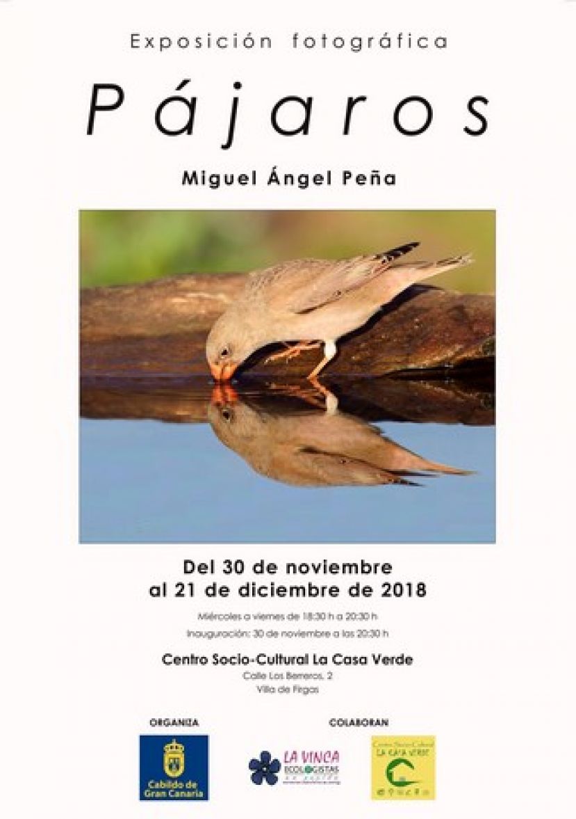 Firgas: El viernes 30 de noviembre se abre la Exposici&oacute;n &ldquo;P&Aacute;JAROS&rdquo;