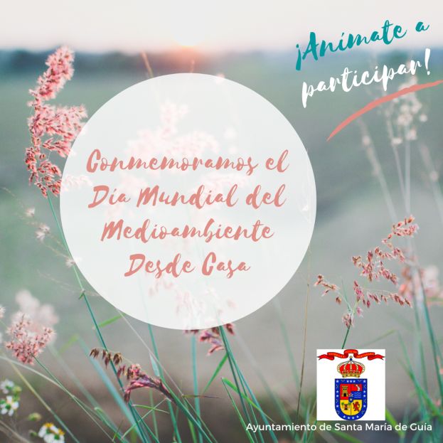Gu&iacute;a: La Concejal&iacute;a de Medioambiente organiza un Concurso de Cortometrajes