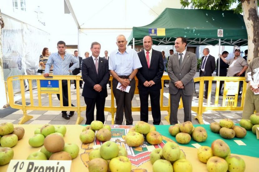 Valleseco presume de manzana reineta en el d&iacute;a grande de las fiestas