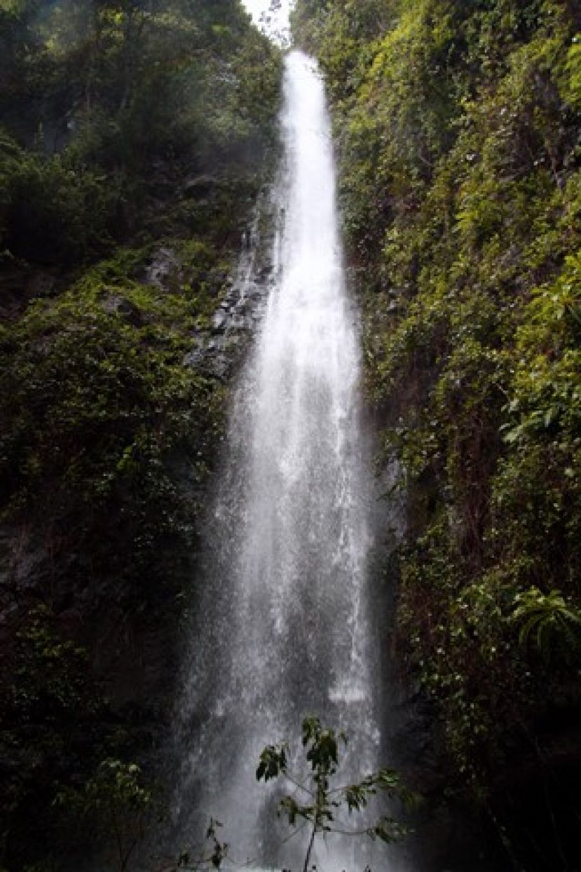 Valleseco: Senderismo por el Barranco del Rapador