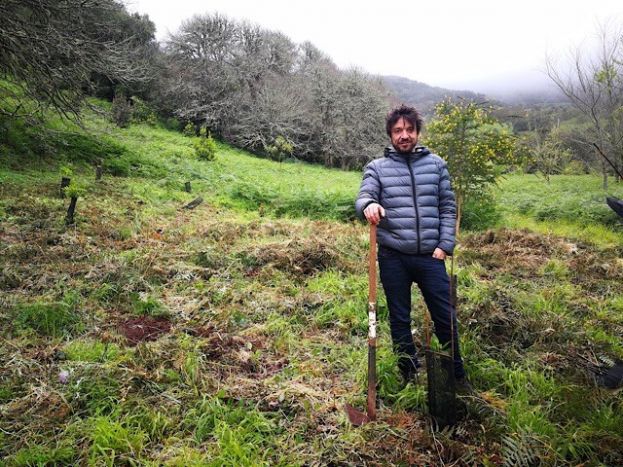 El director de cine Oriol Paulo contribuye a la reforestaci&oacute;n de Gran Canaria plantando laurisilva en Osorio