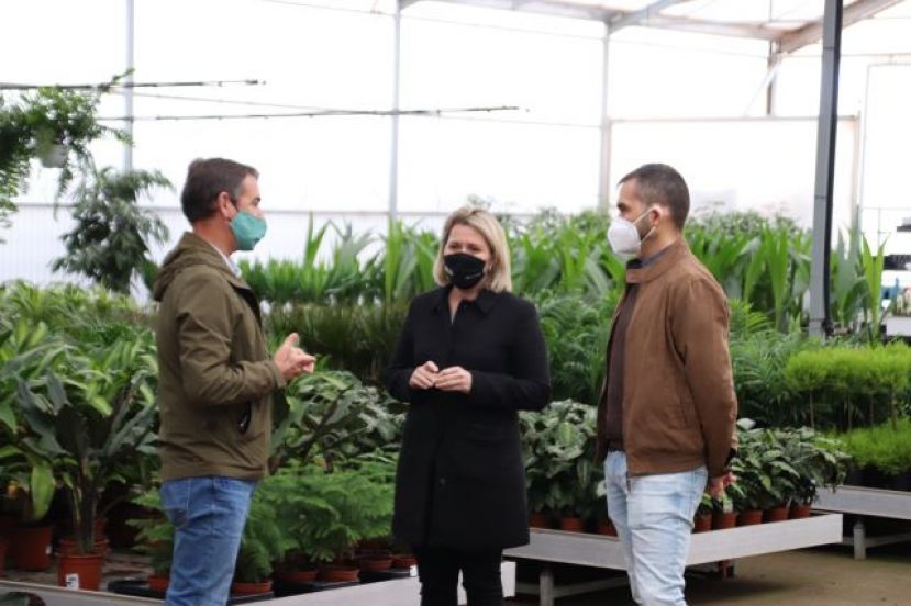 Agricultura abona casi un millón de euros para compensar los daños de la pandemia en el sector de la flor cortada