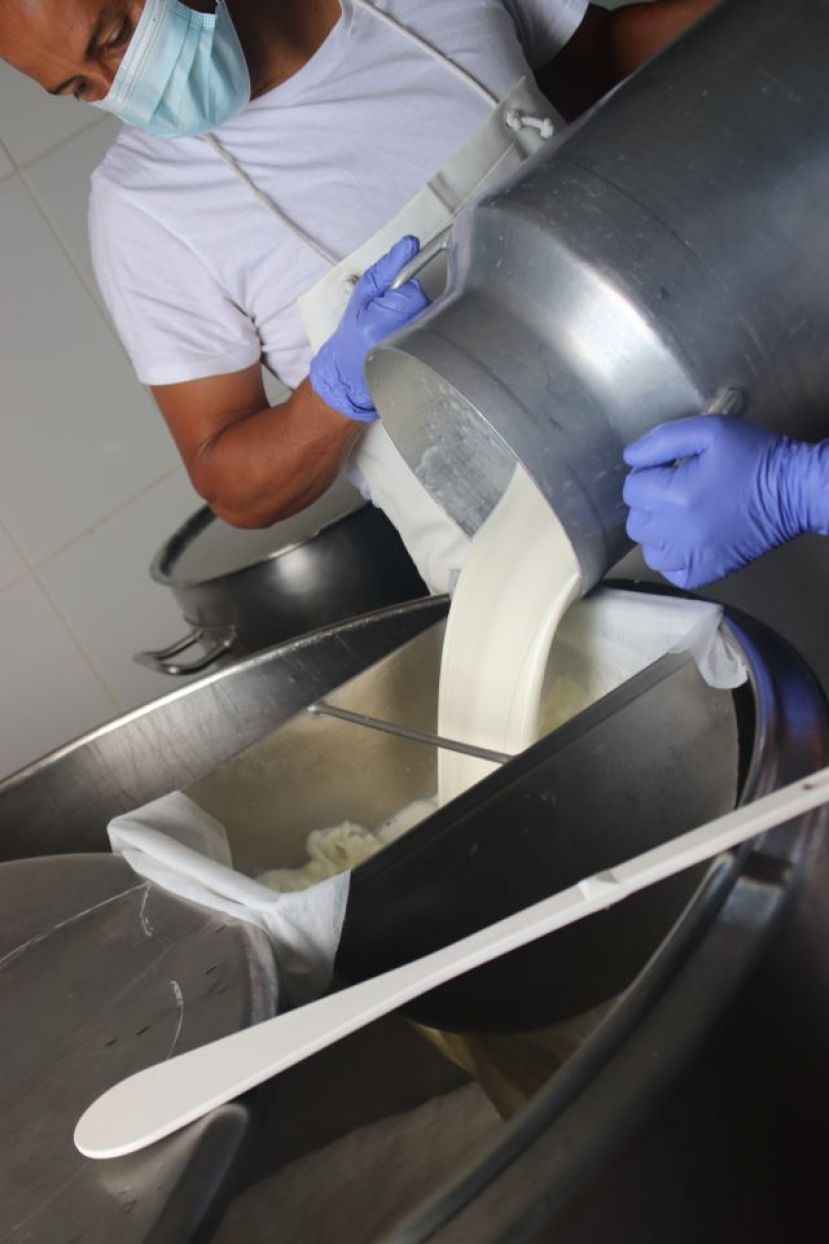 Ayudas a la industria láctea y a los productores de leche de vaca, cabra y oveja