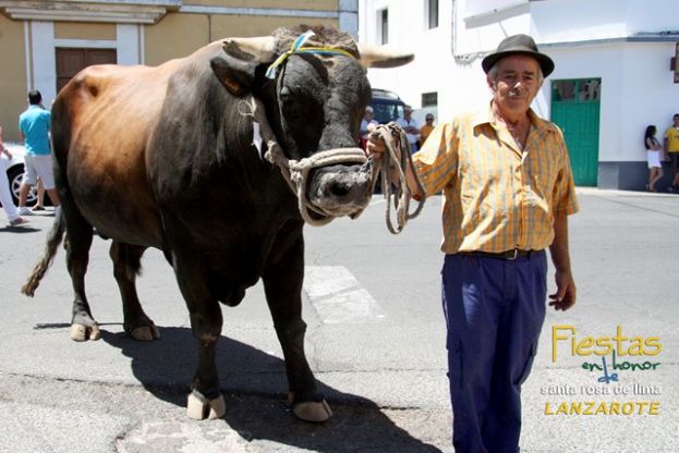 Valleseco: Lanzarote celebra el domingo su Feria de Ganado