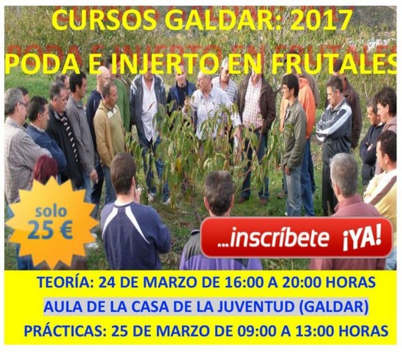 La Universidad Popular de Gáldar ofrece un curso de “Podas e injertos en frutales”