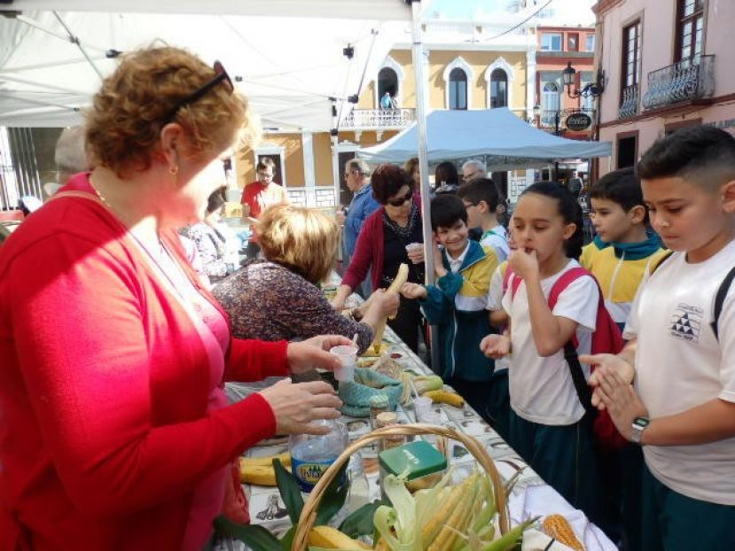 La Muestra de Salud de G&aacute;ldar se celebrar&aacute; este mi&eacute;rcoles 27 de abril