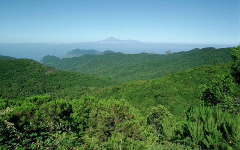 La Gomera: Más de 9 millones de euros en la recuperación del medioambiente