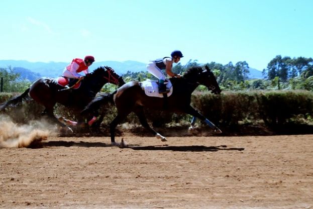 Valleseco: Grandes carreras de caballos este domingo a las 13.00 horas
