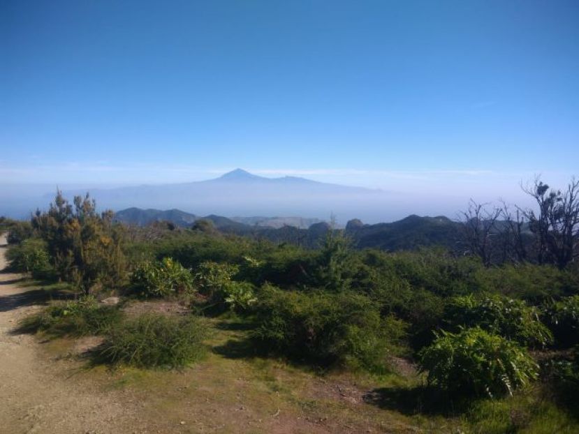 La Gomera: Precauci&oacute;n ante la alerta por temperaturas m&aacute;ximas y riesgo de incendios