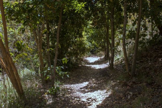 Moya: Protocolo para las quemas de rastrojos en zonas urbanas en verano