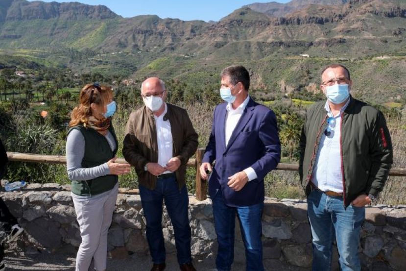 El Cabildo limpiará de cañas 6.700 palmeras y decenas de barrancos como medida preventiva contra los incendios