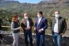 El Cabildo limpiará de cañas 6.700 palmeras y decenas de barrancos como medida preventiva contra los incendios
