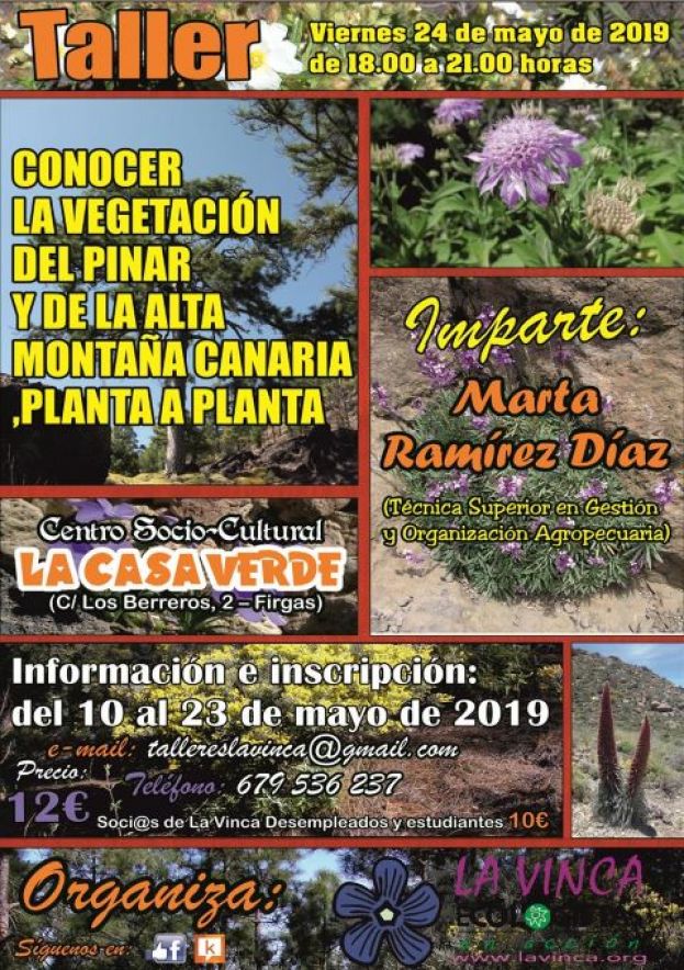 Taller: Conocer la vegetaci&oacute;n del Pinar y de la Alta Monta&ntilde;a Canaria, planta a planta